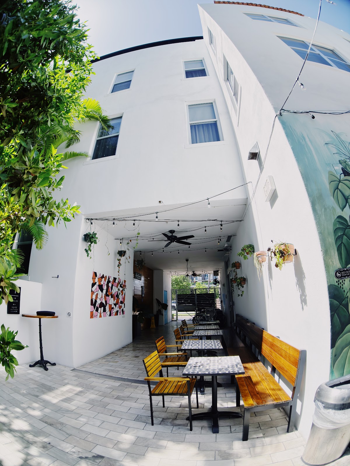 Elixir Kava Boutique | SoBe photo 3