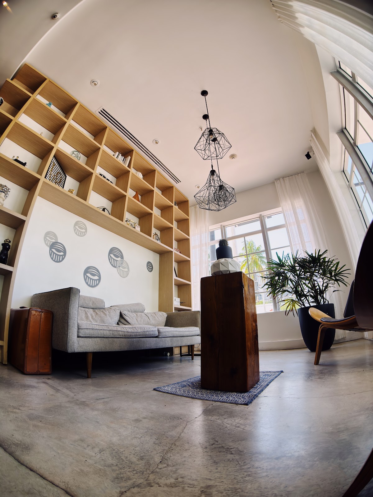 Elixir Kava Boutique | SoBe photo 4