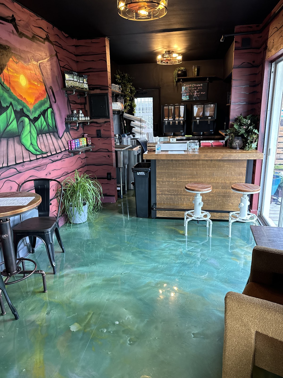 Elixir Kava Boutique | SoBe photo 7