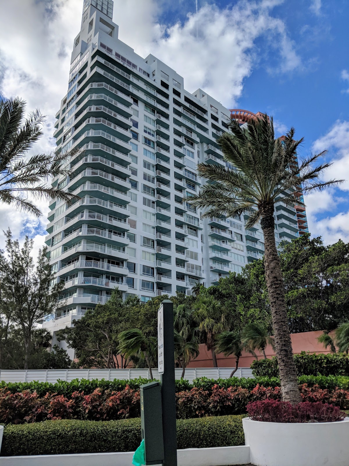 Purple Lotus Kava Bar photo 8