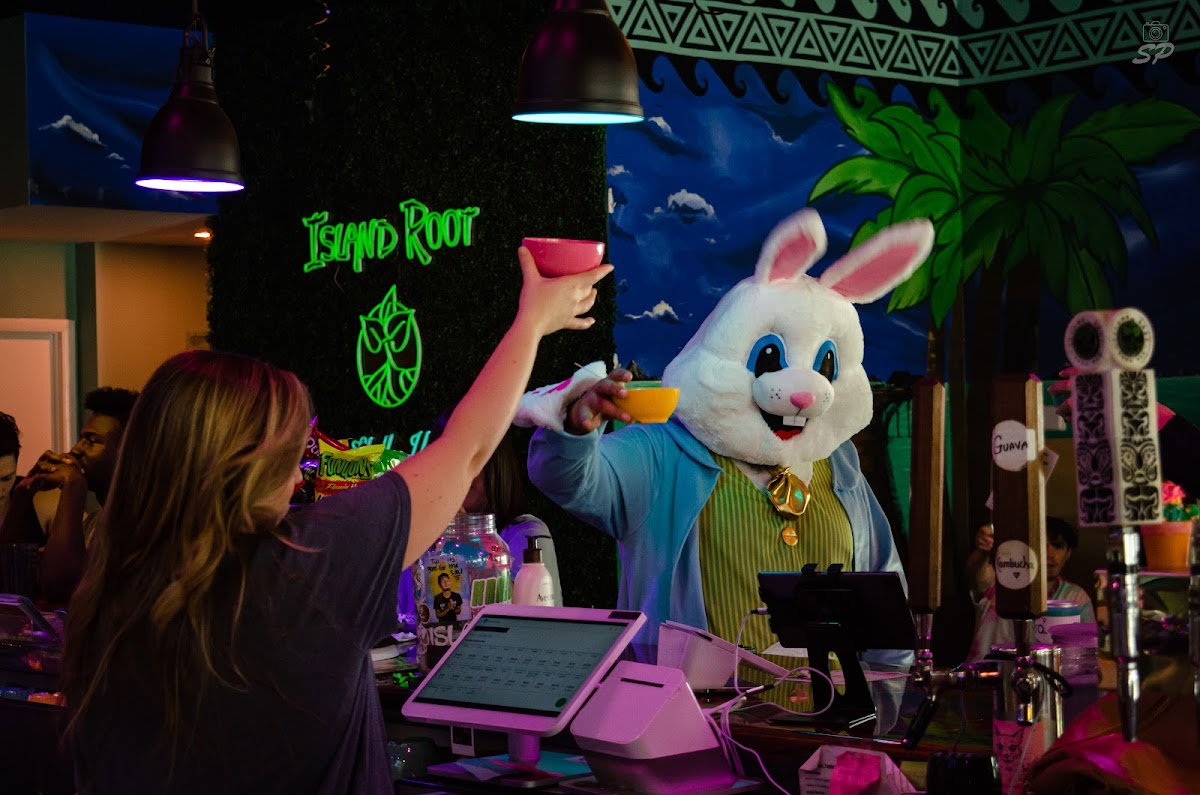 Island Root Kava Bar Royal Palm photo 3