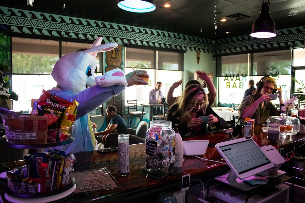 Island Root Kava Bar Royal Palm photo 4