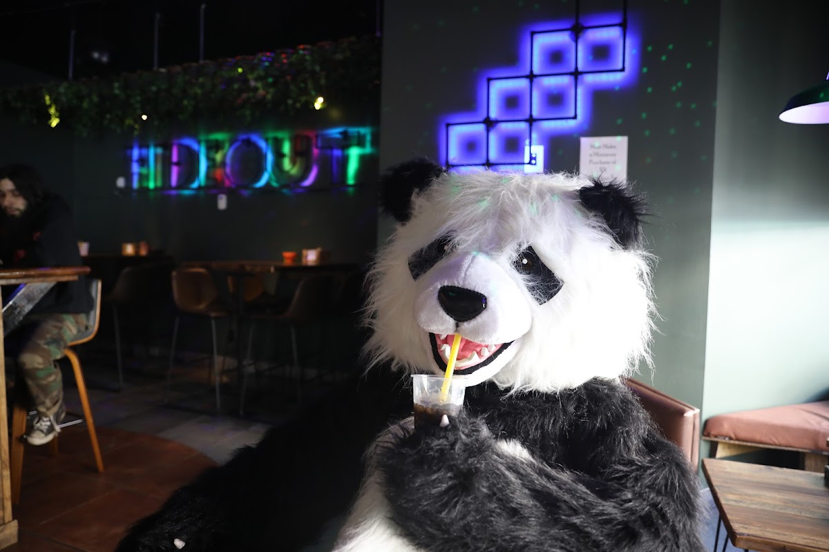 Hideout Kava and Tea Clematis photo 2