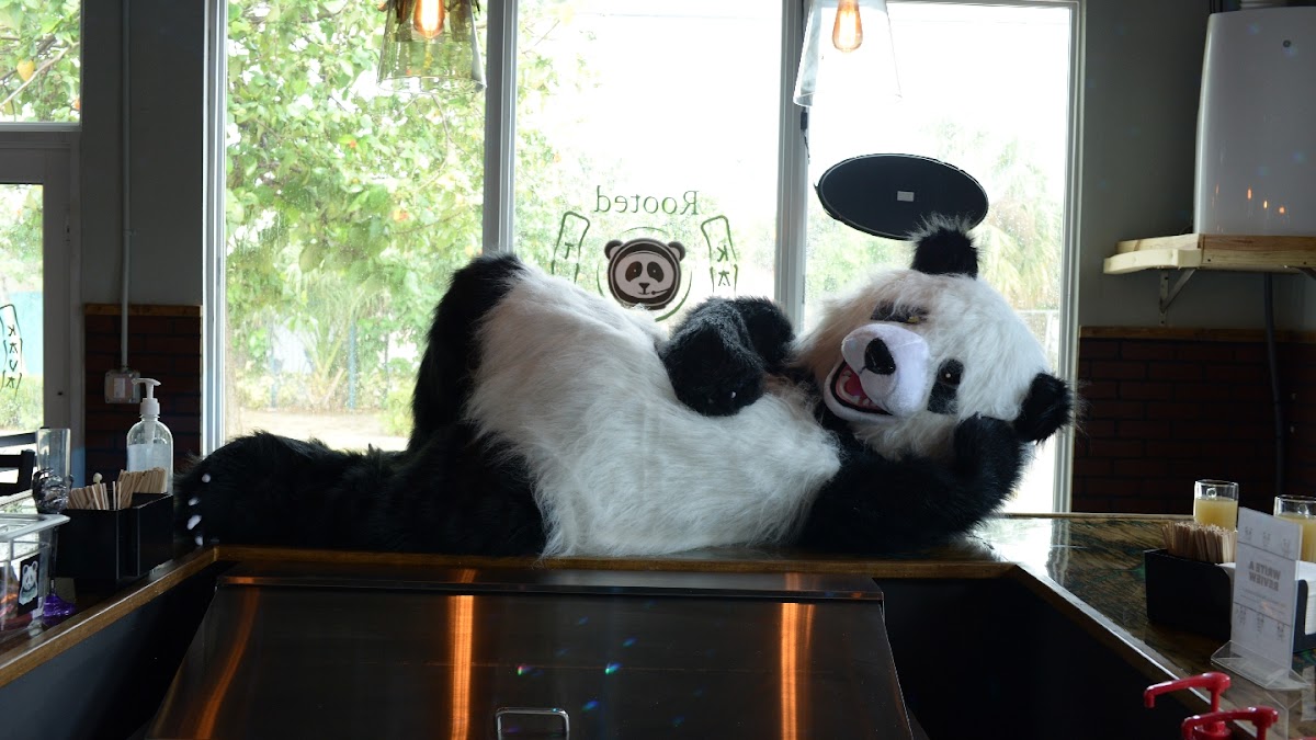 Northwood Hideout Kava and Tea Bar photo 2