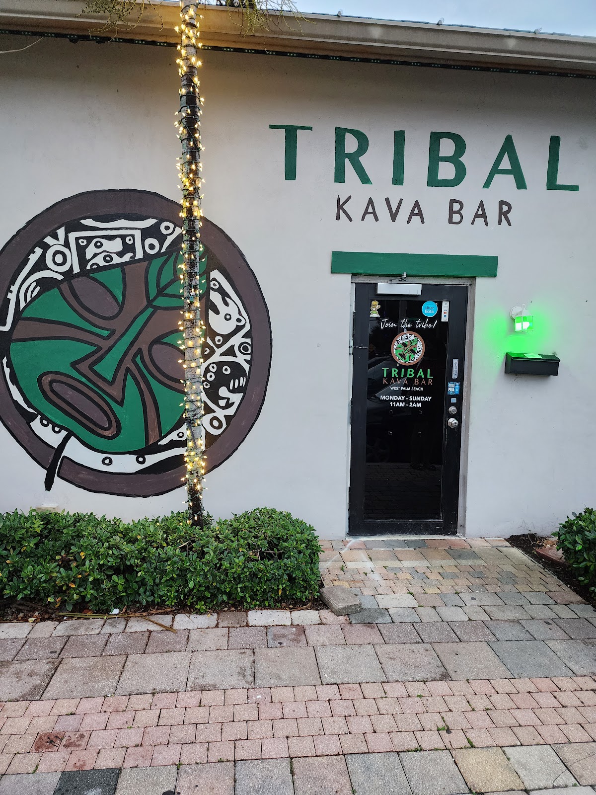 Tribal Kava Bar photo 6