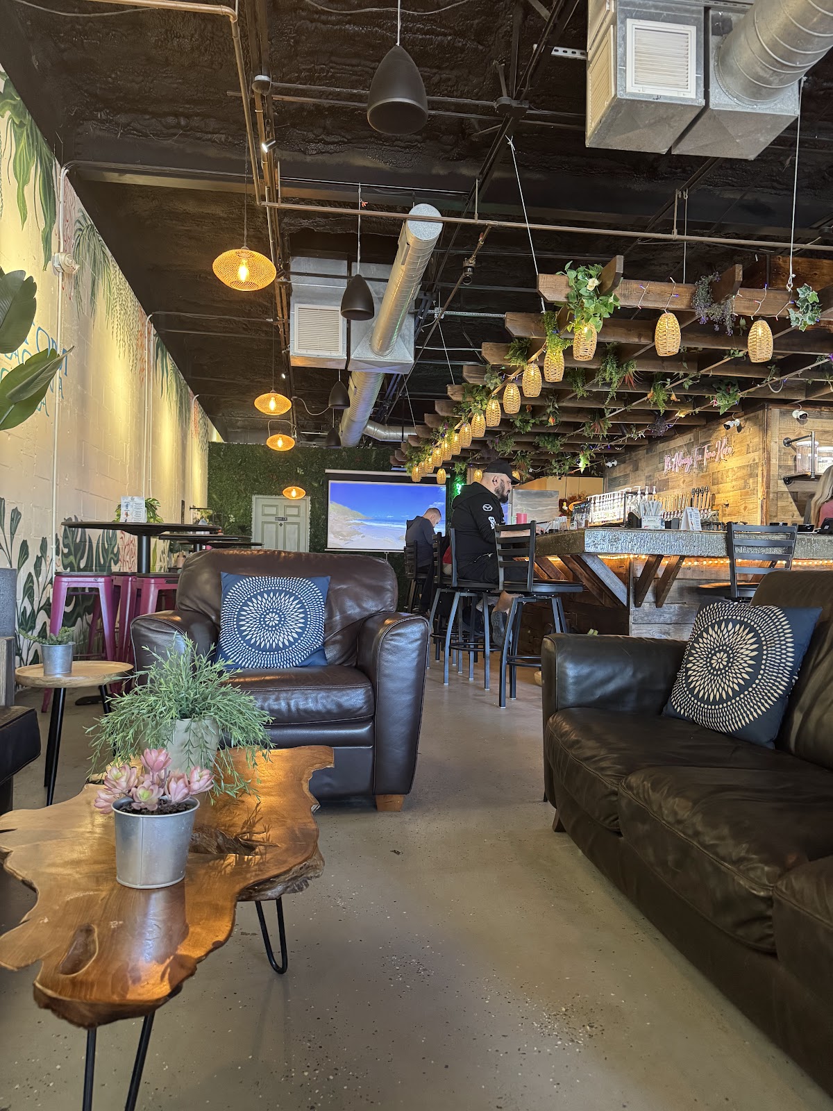 The Muddy Root Kava Cafe photo 2