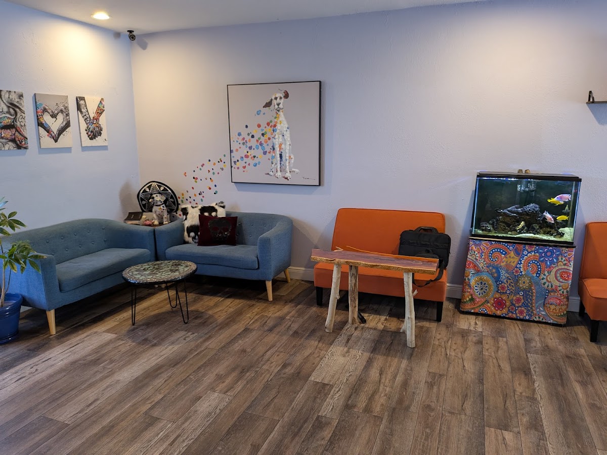 Java Kava Cafe photo 6