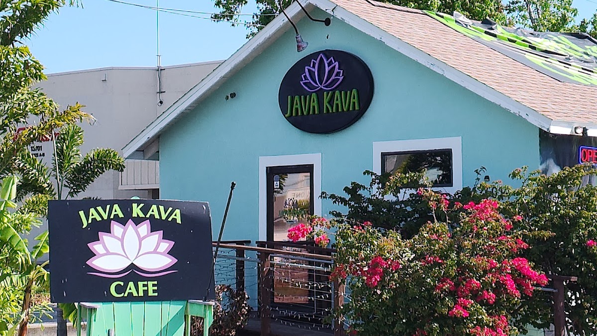 Java Kava Cafe photo 7