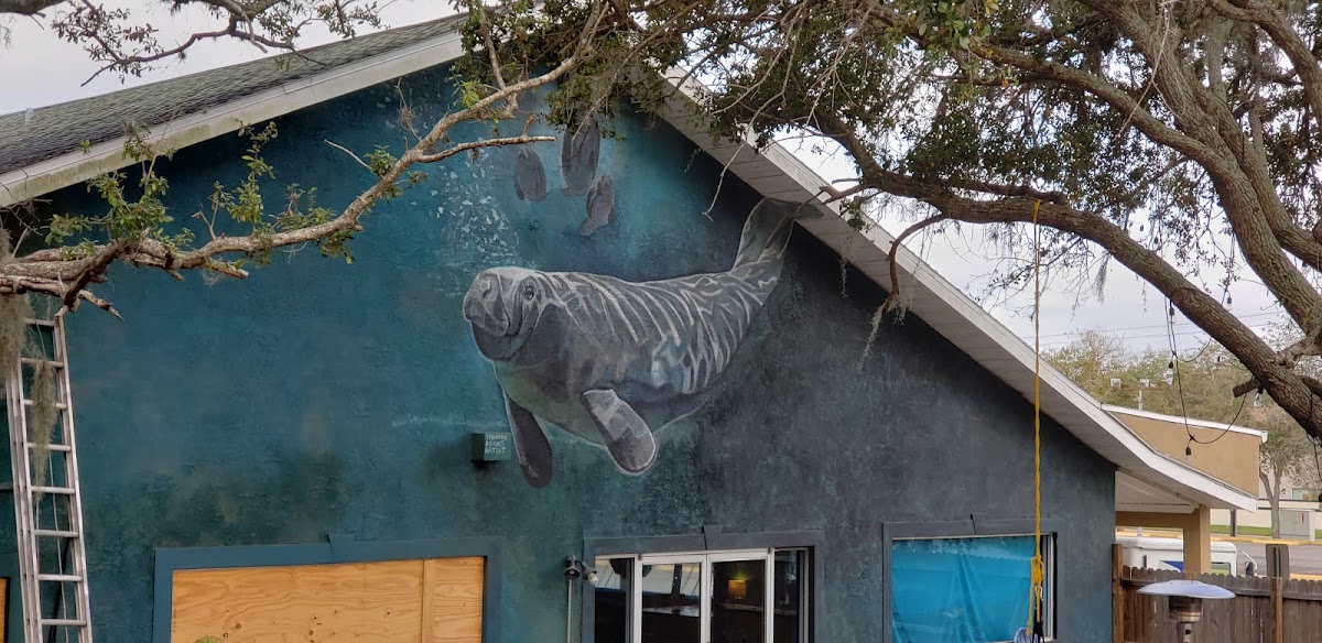 Manna Tea & Kava Bar photo 8