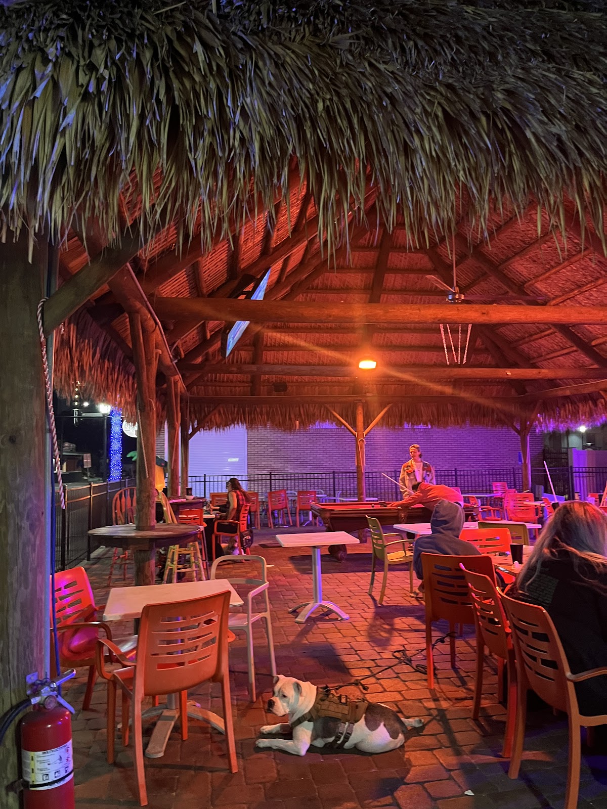 Kava Social Club photo 8