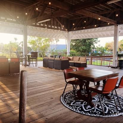 Downtown Kava photo 5