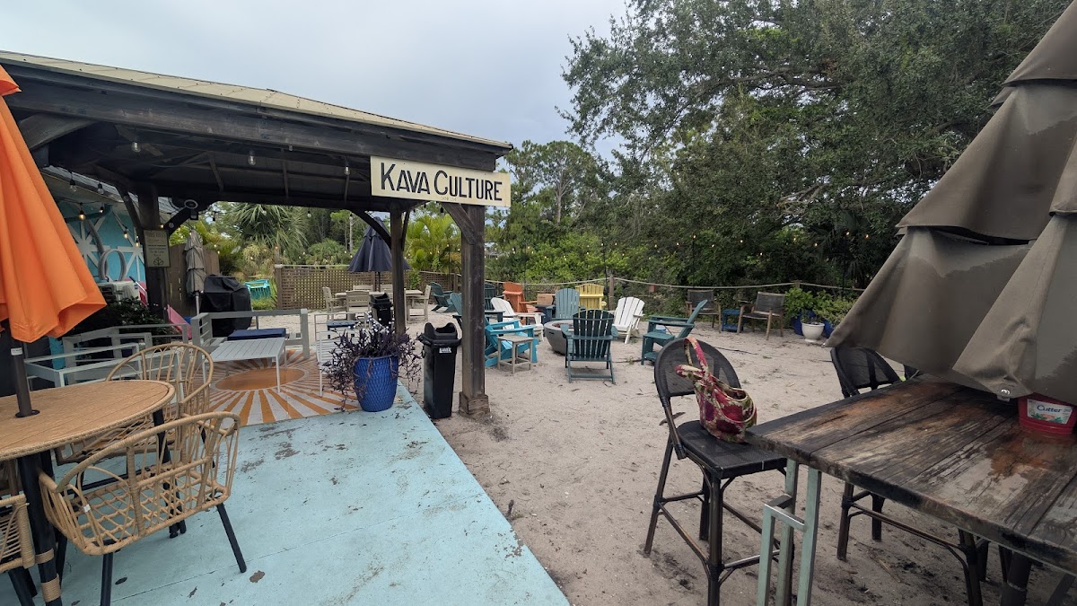 Kava Culture Kava Bar photo 5