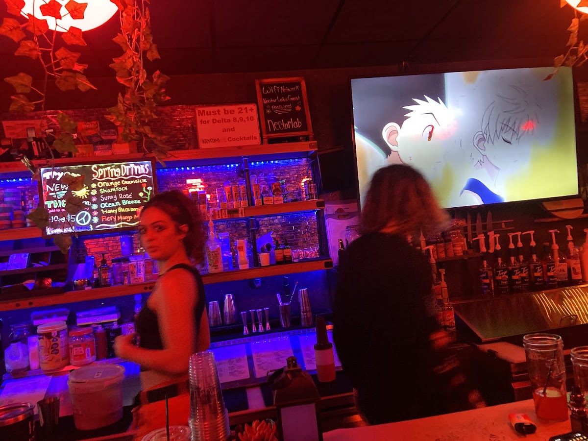 Nectar Lab Kava Bar photo 2