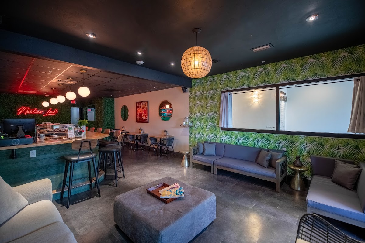Nectar Lab Kava Bar photo 7