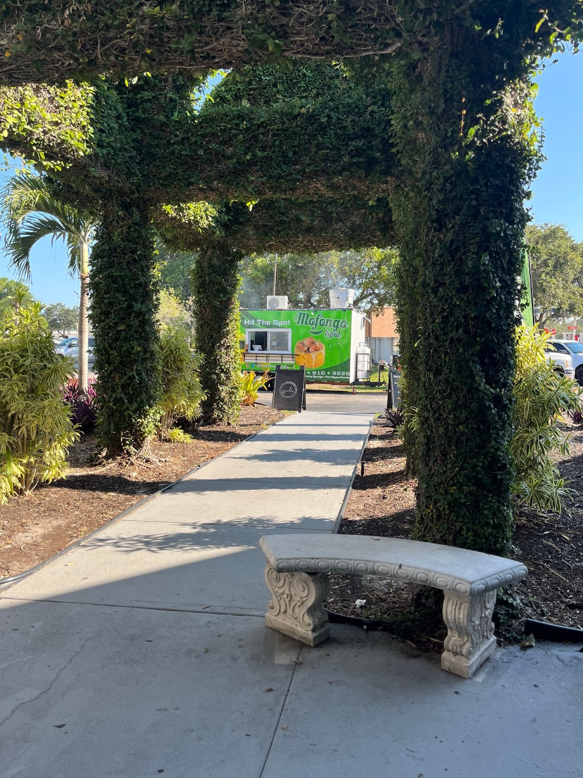 Alchemist Kava Bar & Lounge photo 3