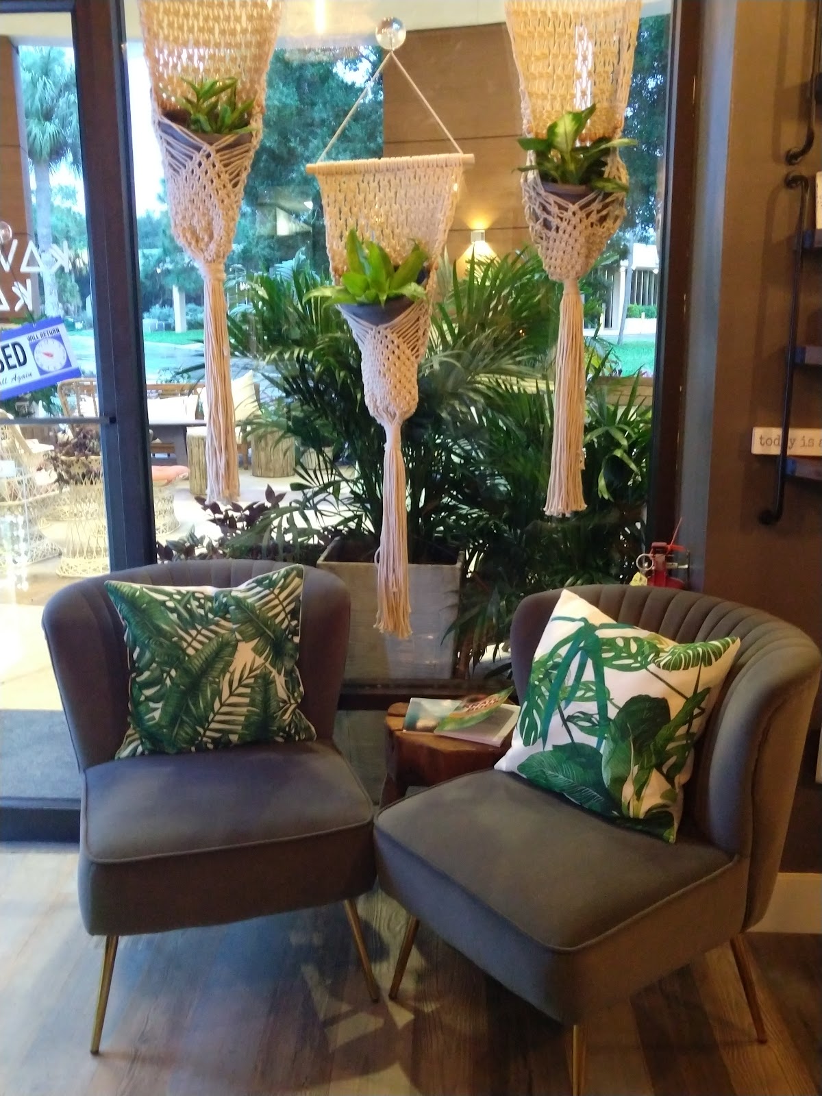 Kava Culture Kava Bar photo 3