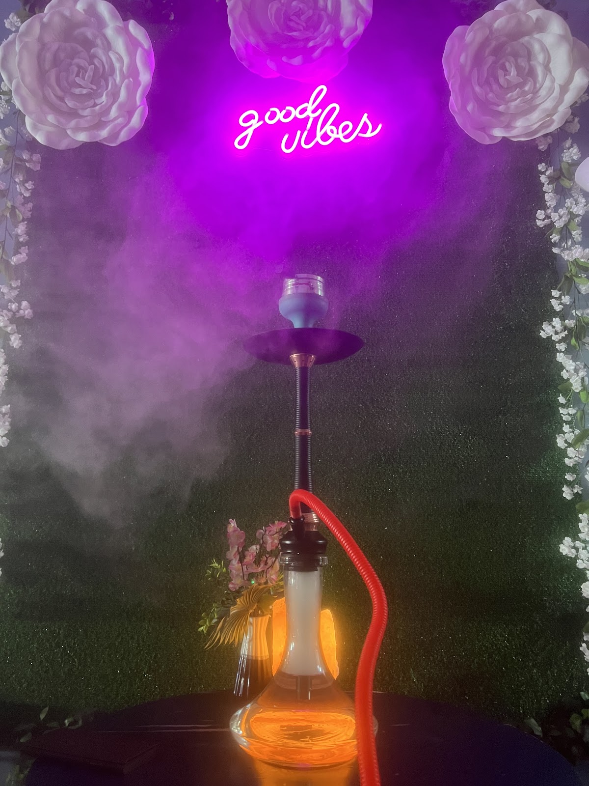 Mo V Lounge & Kava Bar photo 8