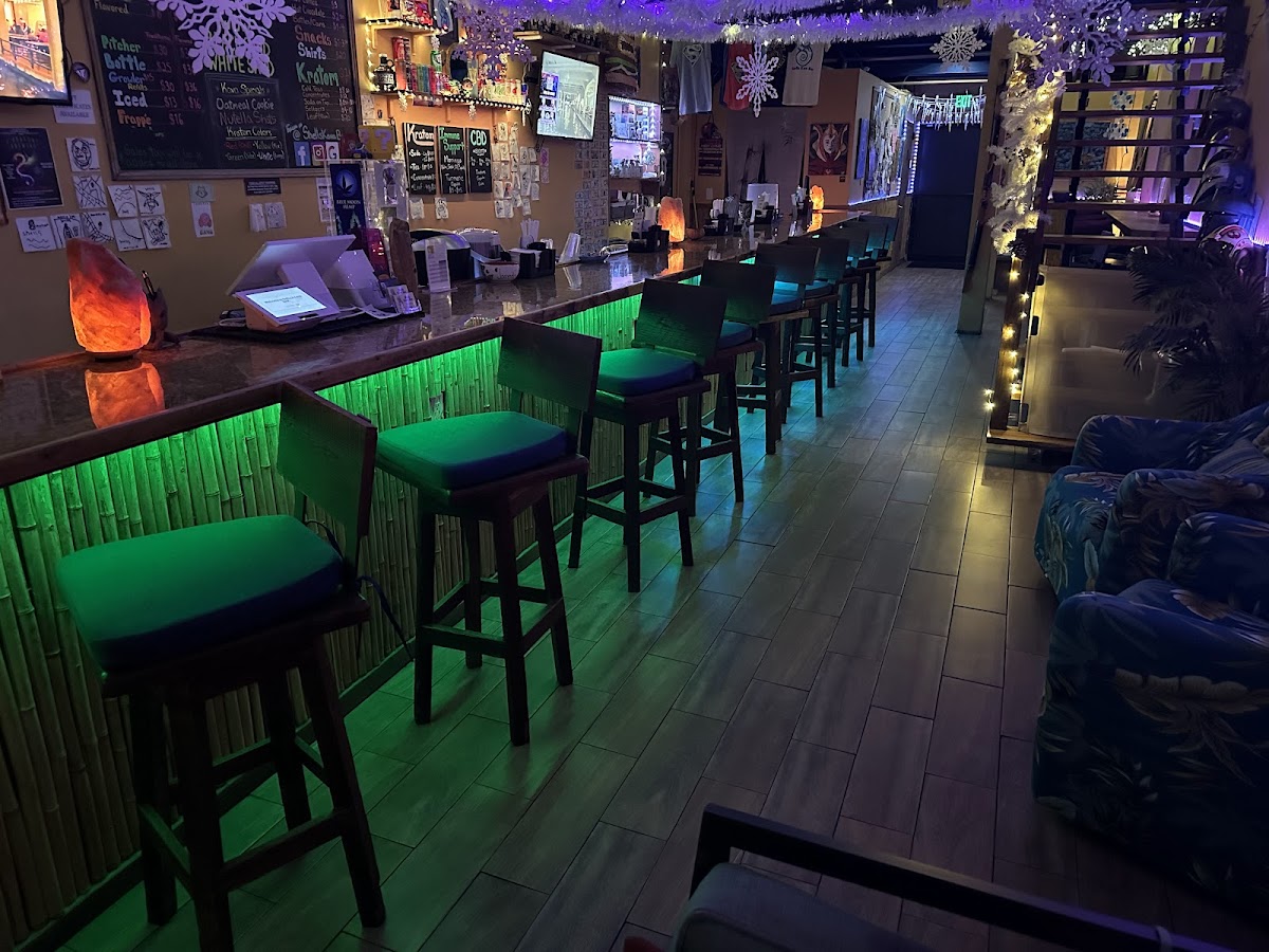 Shells Kava Bar photo 8