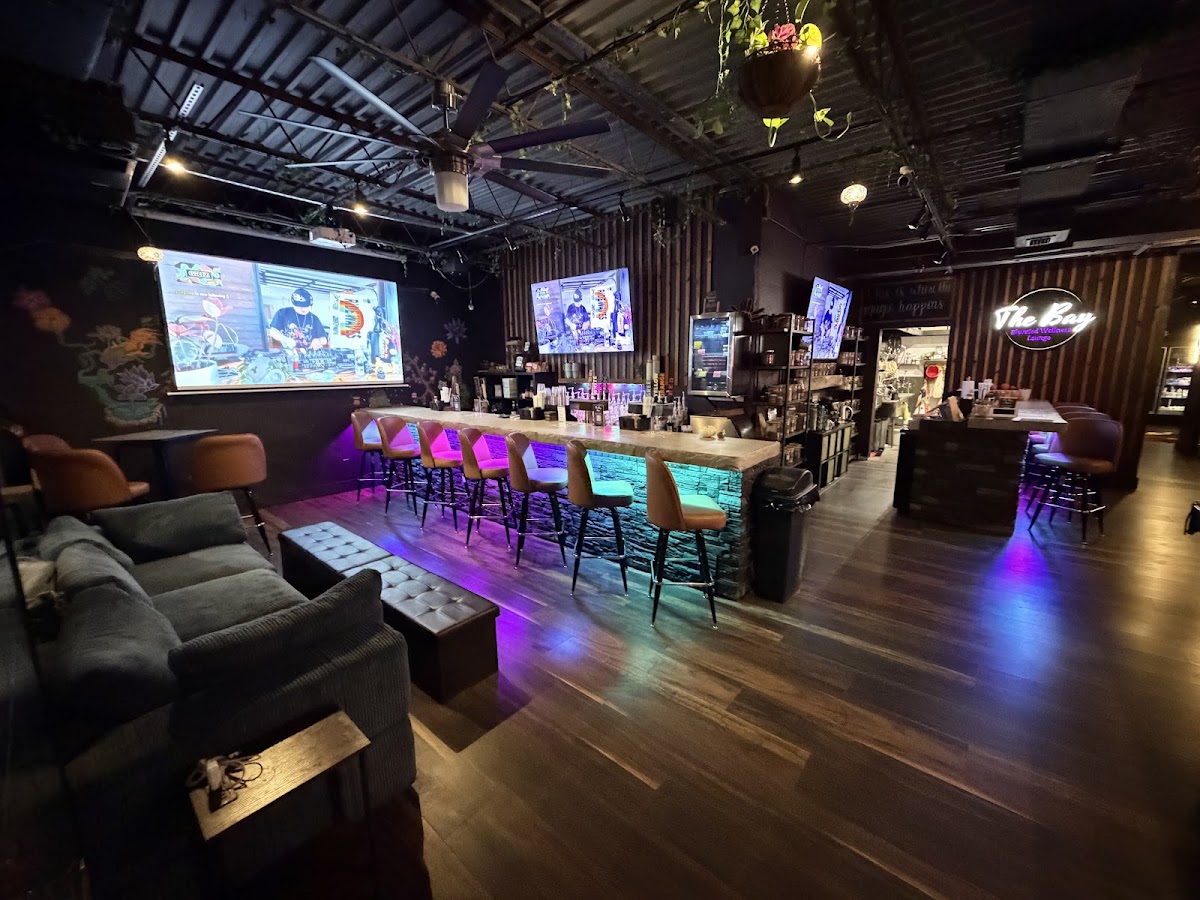The Bay Kava Lounge photo 1