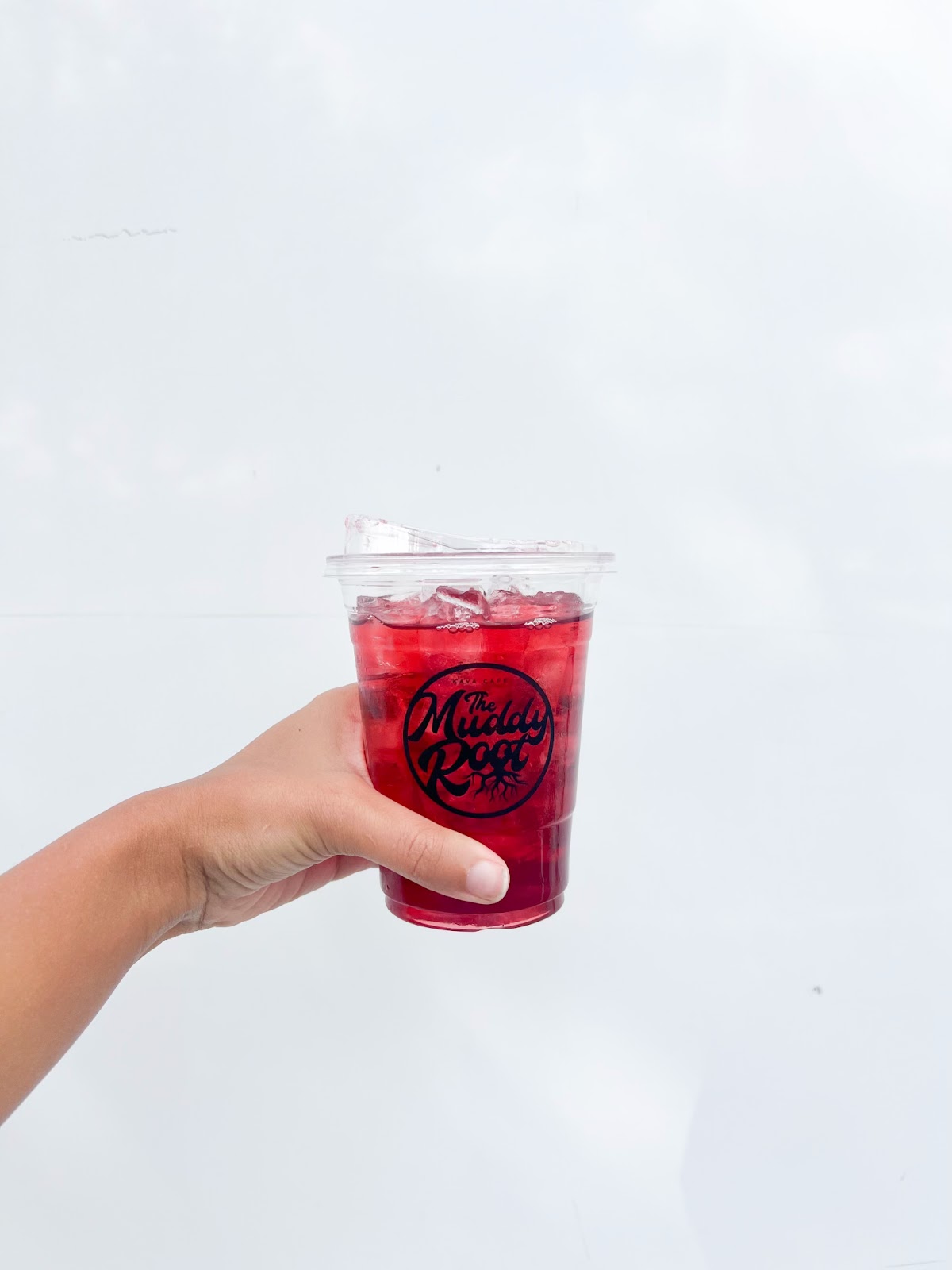 The Muddy Root Kava Cafe photo 1