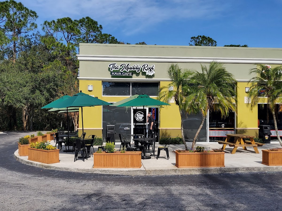 The Muddy Root Kava Cafe photo 5