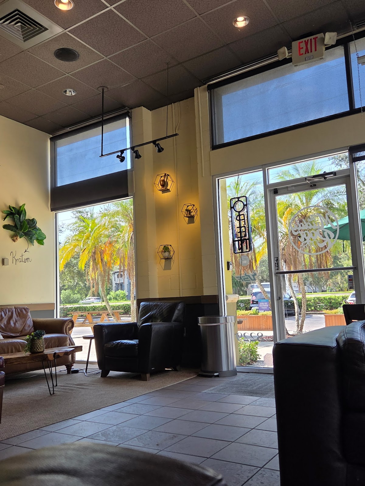 The Muddy Root Kava Cafe photo 6