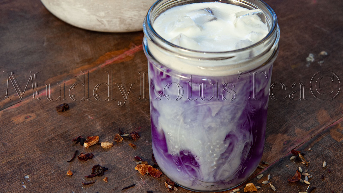 Muddy Lotus Tea Kava Bar photo 1