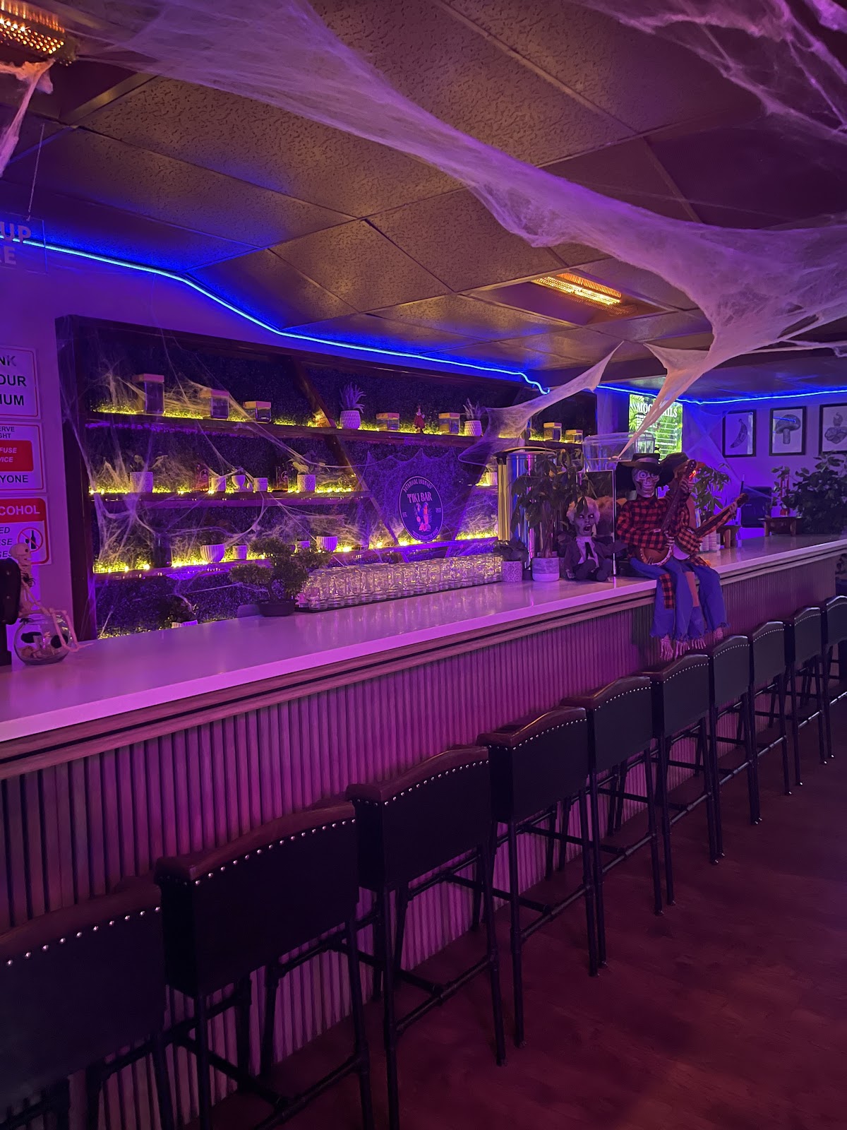 Kava Bar LA & Botanical Lounge