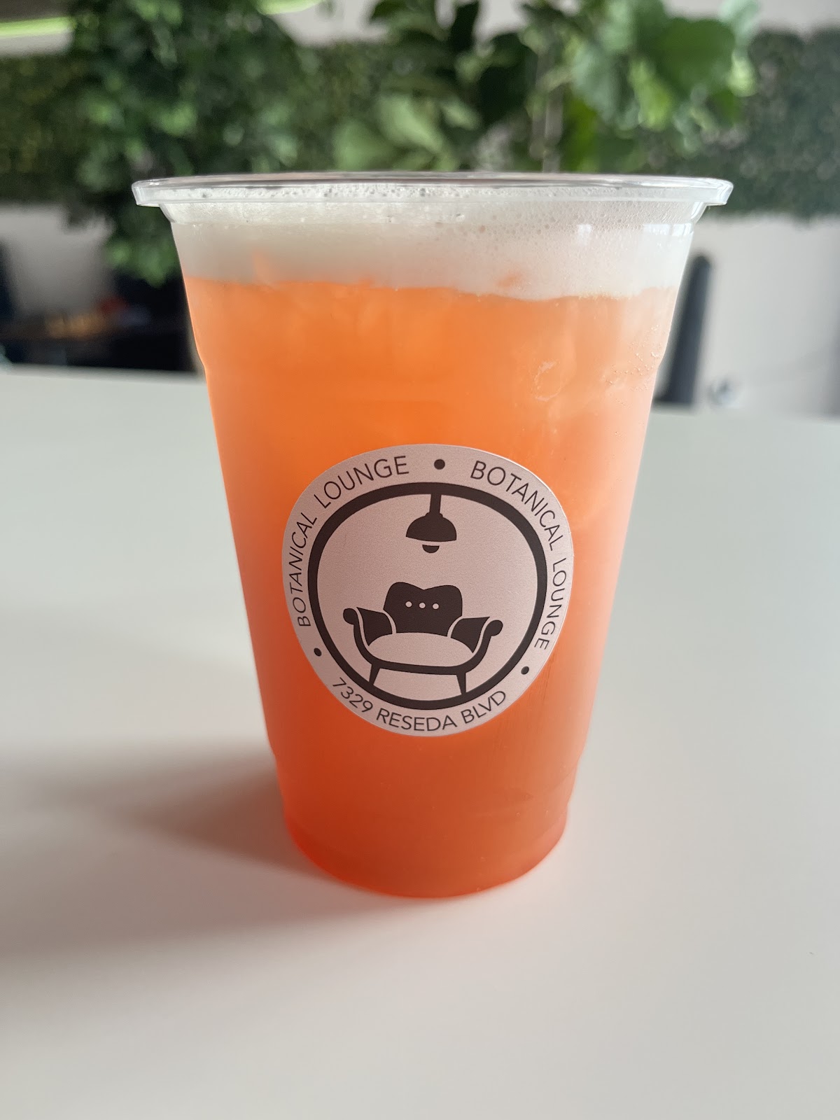 Kava Bar LA & Botanical Lounge photo 8