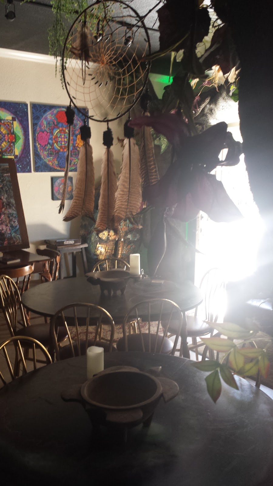 Mystic Water Kava Bar Huntington Beach photo 8