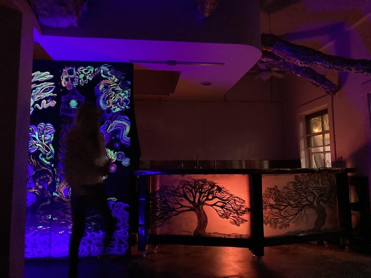 Mystic Water Kava Bar Ventura photo 8