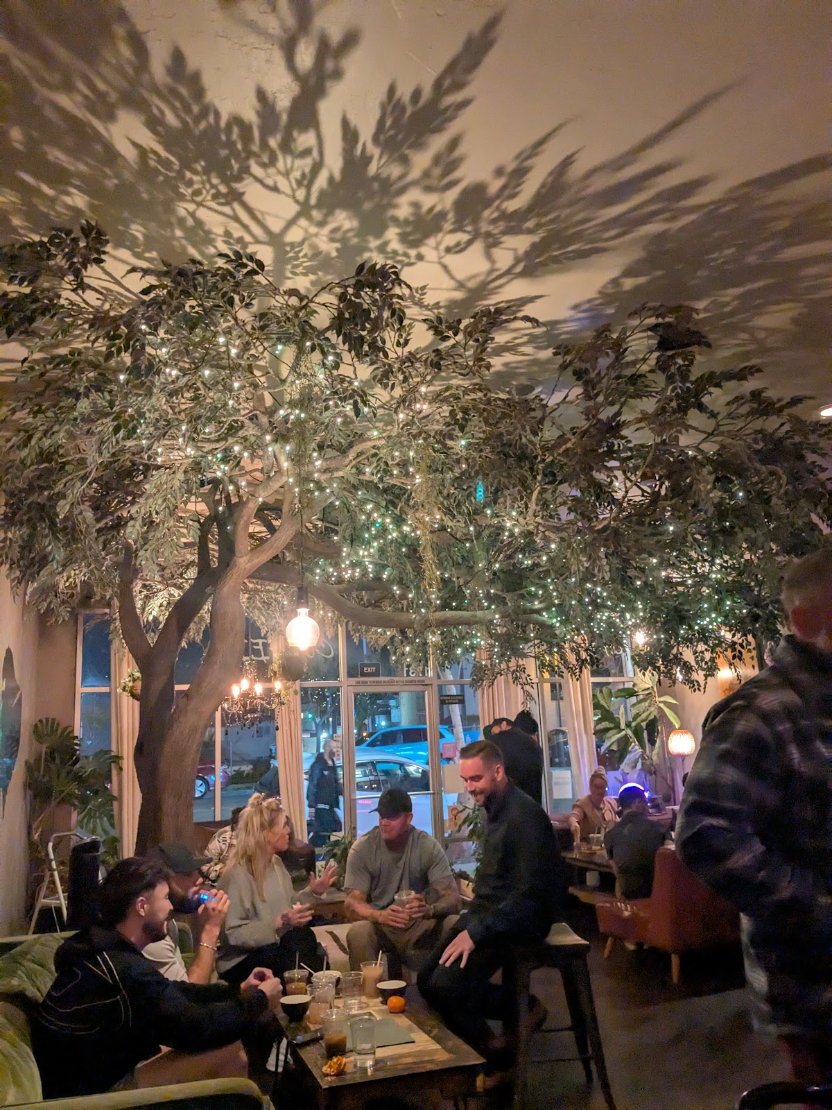 Kava Collective photo 2