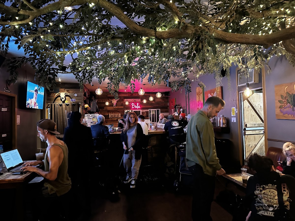 Kava Collective photo 4