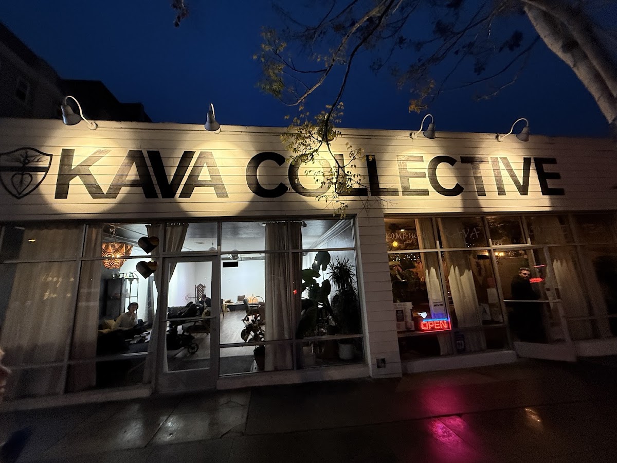 Kava Collective photo 5