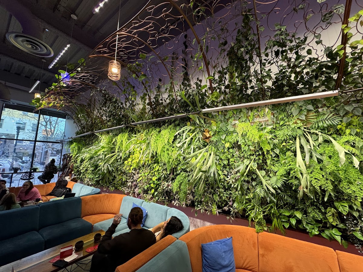 MeloMelo Kava Bar photo 3