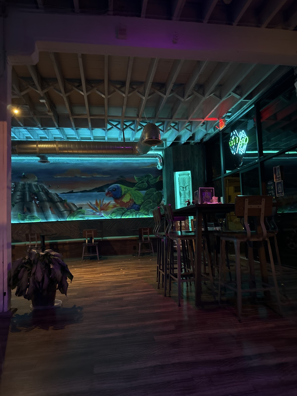 Root of Happiness Kava Bar | Midtown