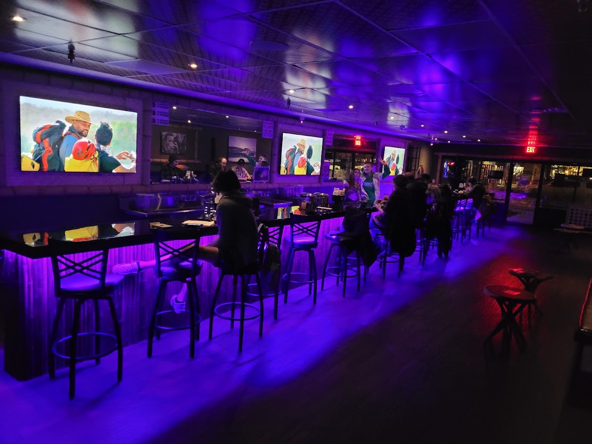 Kavasutra Kava Bar Fort Collins