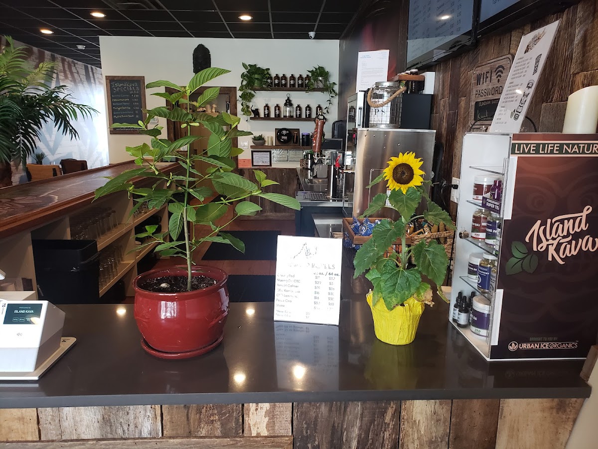 Island Kava Patchogue photo 2