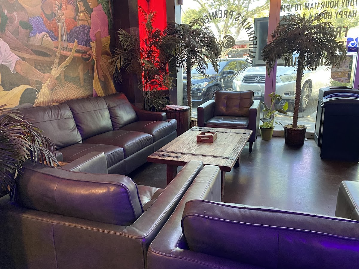 Root of Happiness Kava Bar | Davis photo 4