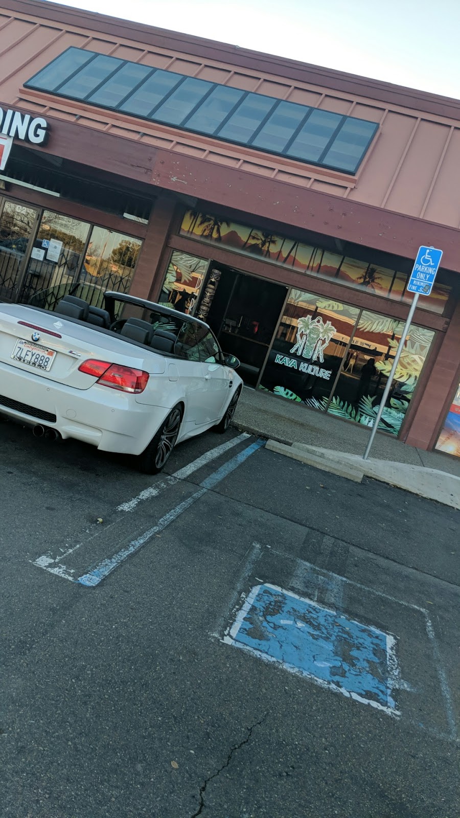 Kava Kulture photo 6