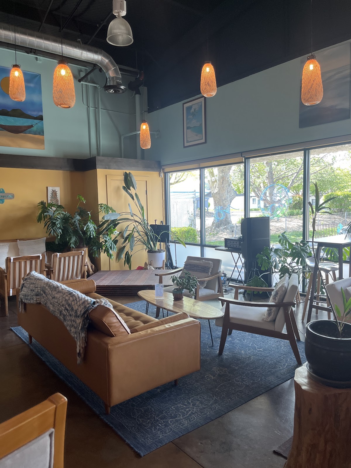 Karuna Kava & Tea photo 6