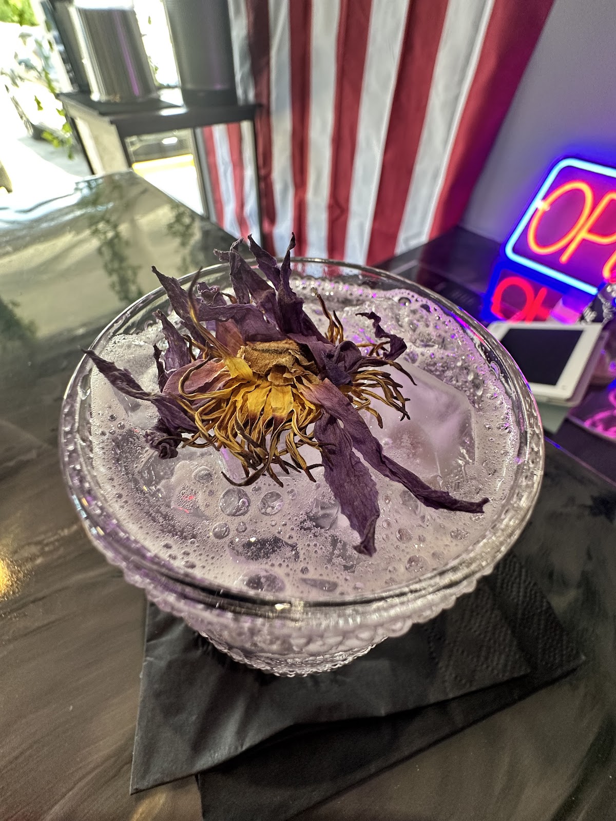 Sanctuary Kava photo 7