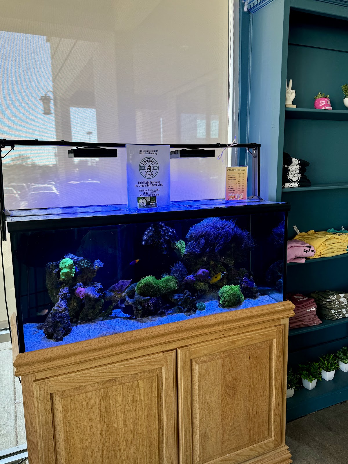 The Kava Bar photo 7