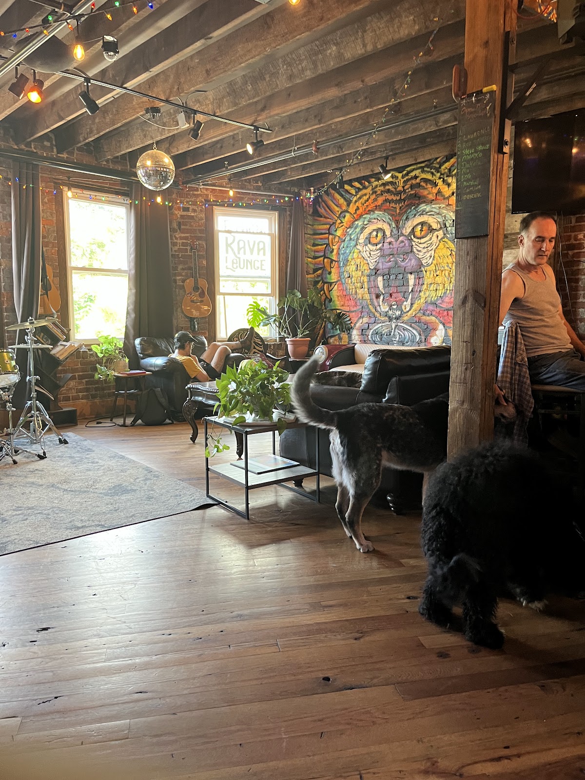 Elevated Kava Lounge photo 2