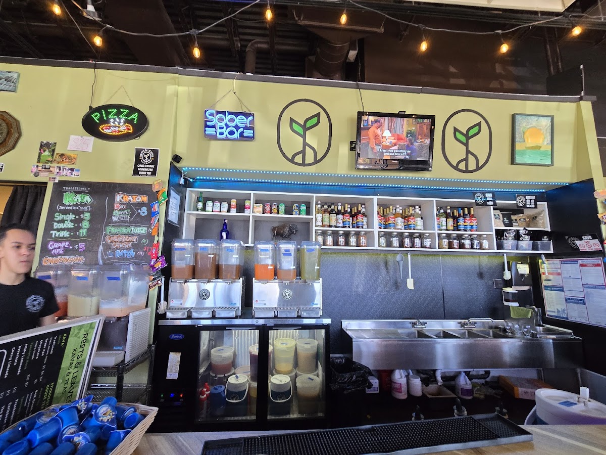 Roots and Leaves: Casa de Kava photo 1