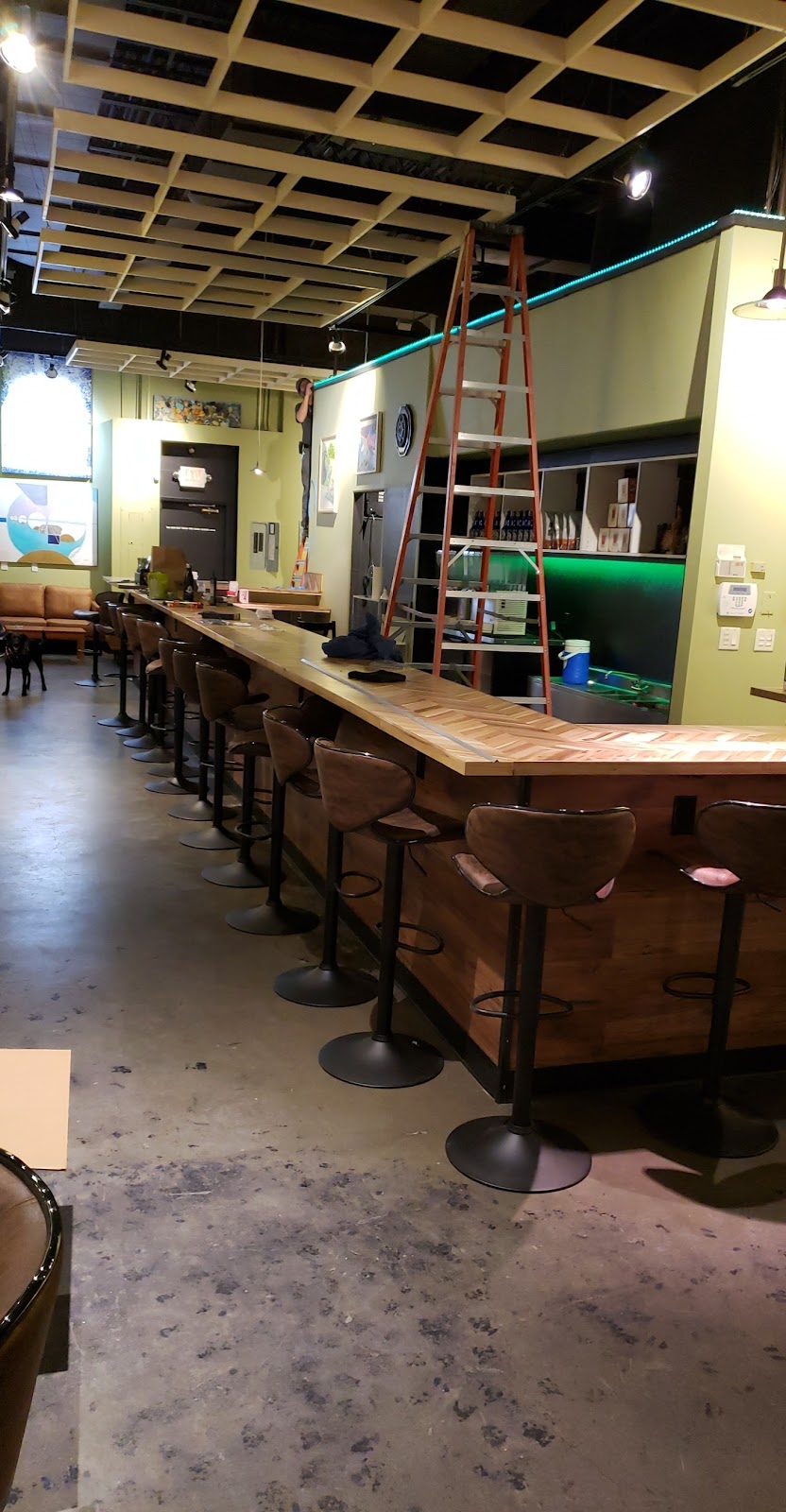 Roots and Leaves: Casa de Kava photo 6