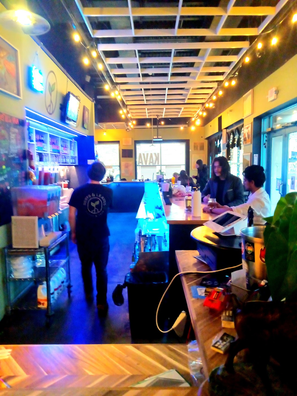 Roots and Leaves: Casa de Kava photo 8