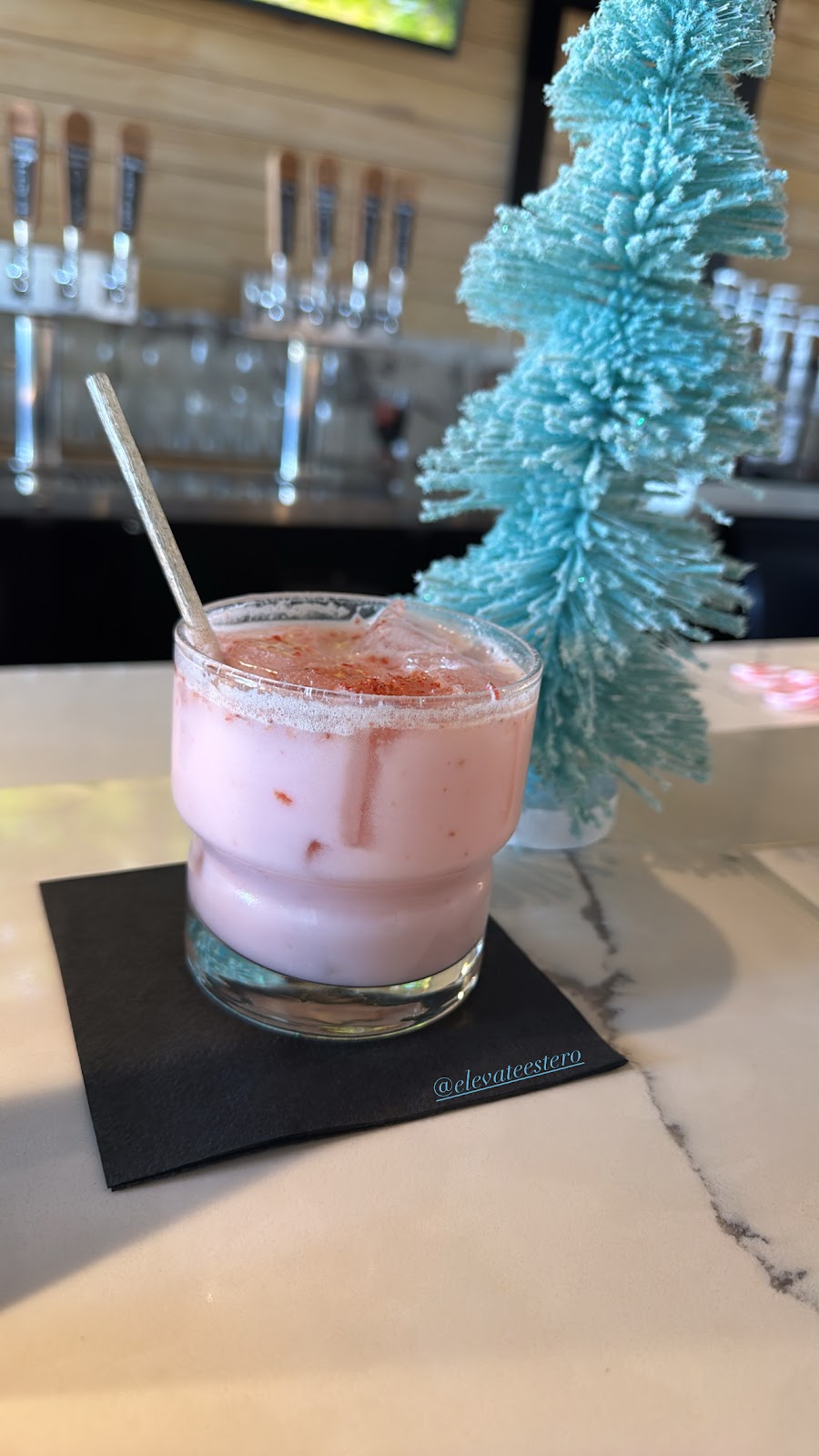 Elevate Social Lounge & Kava Bar - Estero photo 8