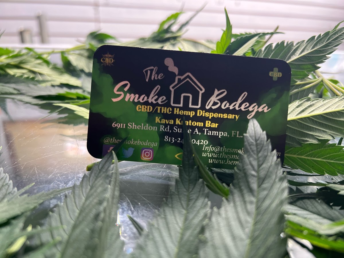 Indica Cafe Kava Bar photo 3