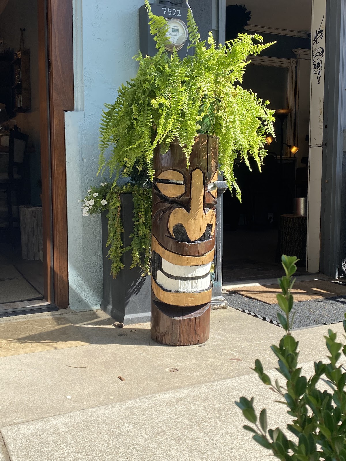 Mountain Vibes KAVA Lounge photo 6